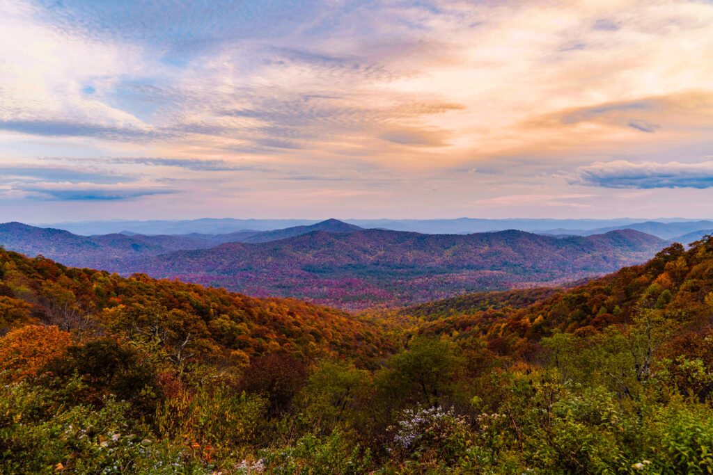 Beautiful Smoky Mountain Landscape in late afternoon light during the autumn season. Impressive fall foliage colors extending as far as the eye can see. Image by Jeffrey Hamilton (Unsplash).