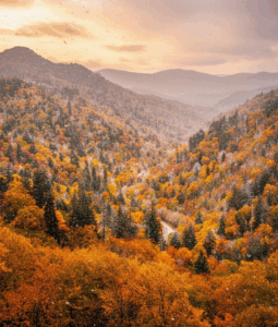 Impressive Smoky Mountain landscape with the unique blend of lush autumn colors and fresh snow. Breathtaking East Tennessee views.
