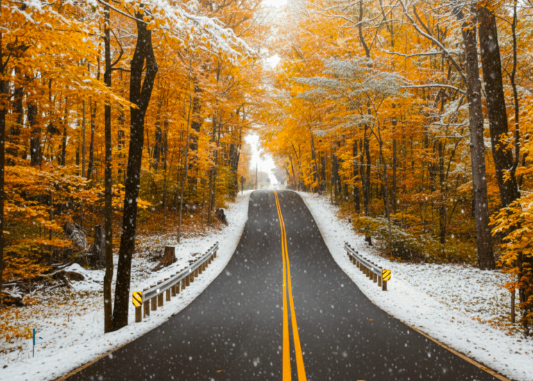 Calm road with autumn colored trees, covered in snow, this can be a back road, mountain road, the roads that take us home.